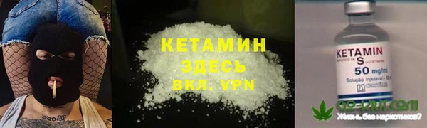 крисы Алексин