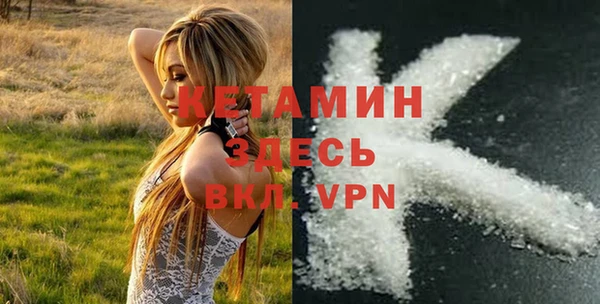 крисы Алексин