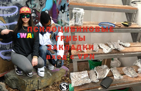 крисы Алексин