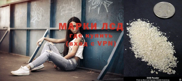 крисы Алексин