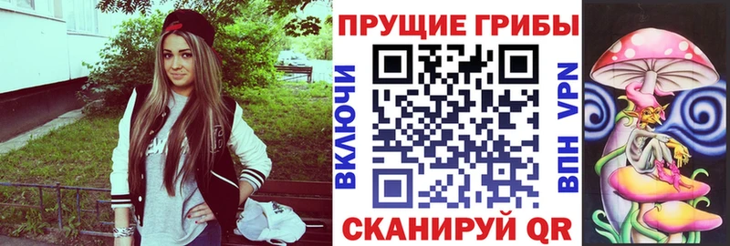 ссылка на мегу онион  наркотики  Ачинск  Галлюциногенные грибы MAGIC MUSHROOMS 
